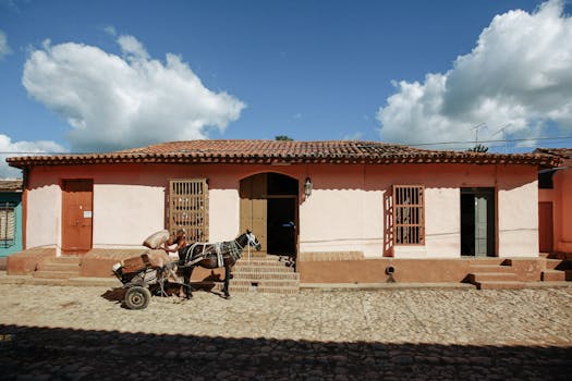 Poznejte Criollo: Odolné koně s bohatým dědictvím Latinské Ameriky