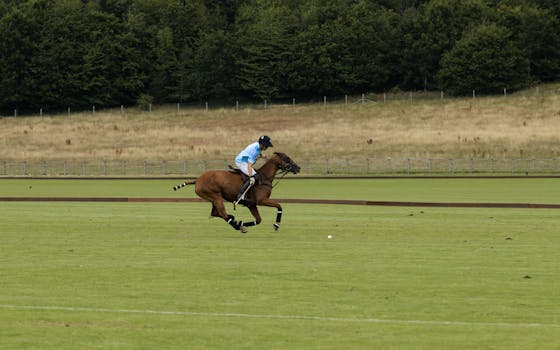 Exmoor Pony: Klíčový Hráč v Britském Jezdectví a Přírodě