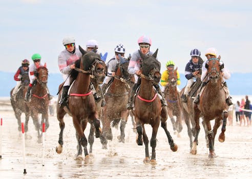 Ariegeois: Klíčový hráč ve francouzském jezdeckém sportu