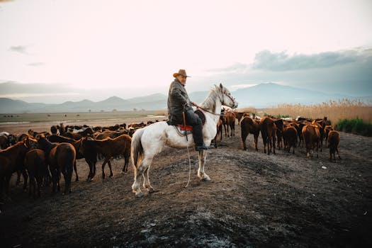 Péče o koně Percheron: Jak se liší od ostatních plemen?