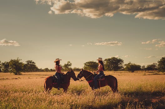 Paso Fino: Jak Toto Plemeno Přetváří Jezdectví v Jižní Americe