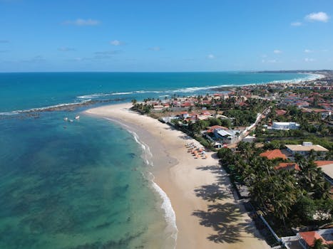 Ideální Prostředí pro Koně Cleveland Bay: Co Potřebují?