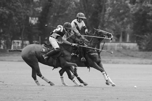 Andaluský kůň: Klíčový hráč ve španělském jezdeckém umění