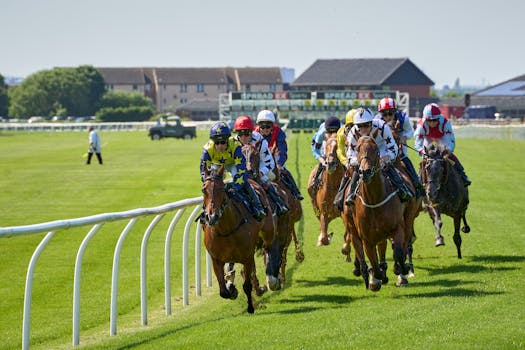 Hanoverian: Klíčový Hráč v Německém Jezdeckém Sportu