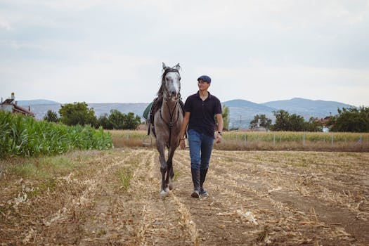 Jak Tennessee Walking Horse Definuje Americký Westernový Ježdění