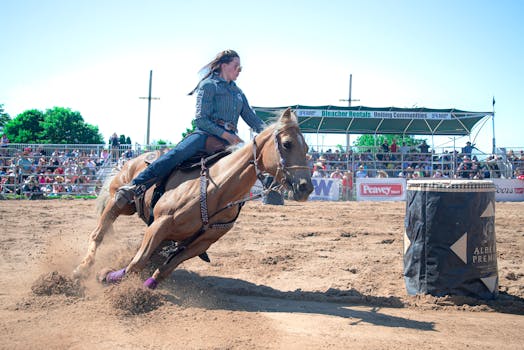Jak Quarter Horse dominuje v závodech Barrel Racing?