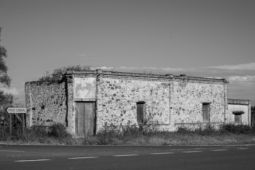 Paso Fino: Klíčový vliv na chov koní v Jižní Americe