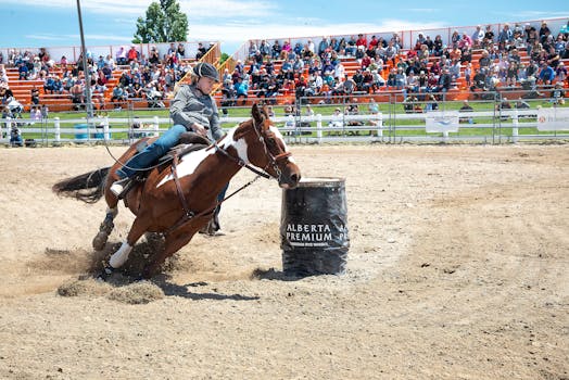 Canadian Horse: Symbol Kanady a Jeho Role v Jezdeckém Sportu