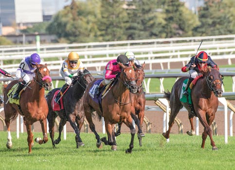 Vývoj plemene Thoroughbred: Od dostihů po moderní jezdectví