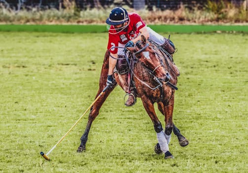 Haflinger: Klíčový hráč v jezdeckém sportu Alp