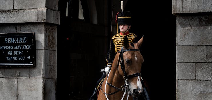 Clydesdale: Ikony Britského Těžkého Jezdectví a Tradice