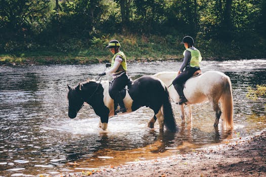 Highland Pony: Hlavní strážce jezdeckých tradic ve Skotsku