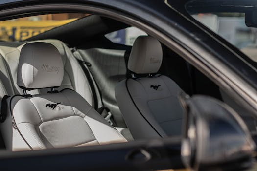 Španělský Mustang: Tajemství Americké Jezdecké Tradice