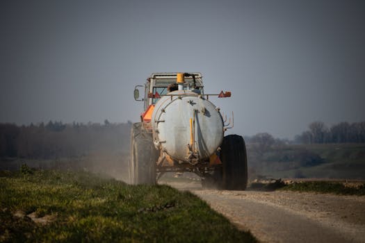 Dutch Warmblood: Klíčový Prvek Moderního Nizozemského Zemědělství