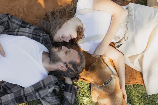 Trénink Westphalianů: Jak se liší od ostatních plemen?