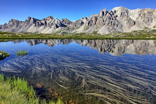 Haflinger: Klíčový prvek alpského chovu a jeho vliv na ekosystém