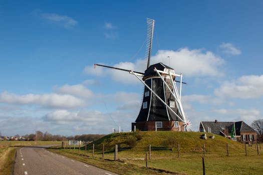 Prohloubené srovnání Dutch Warmblood a jeho nizozemských rivalů