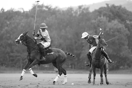 Highland Pony: Klíčový hráč ve skotských jezdeckých tradicích