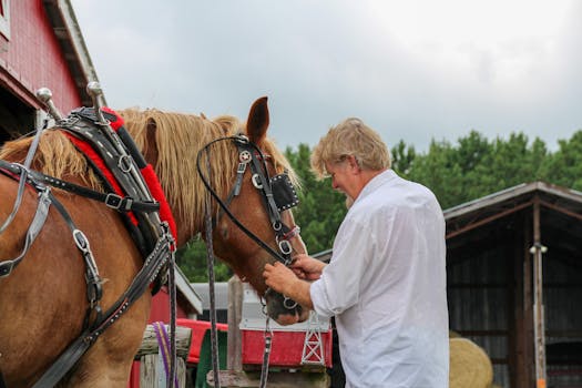 Kompletní průvodce péčí o Schwarzwald Kaltblut: Od výživy po zdraví